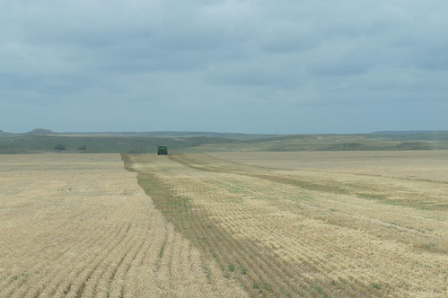 Makin' rounds in Canadian, Texas