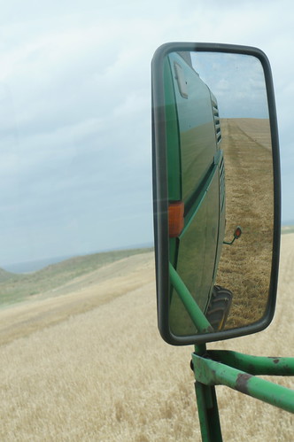 A view from the combine in Texas