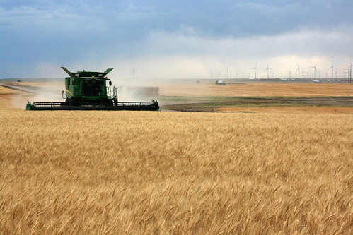 If you look to the right you can see place saved for another turbine to grace this field
