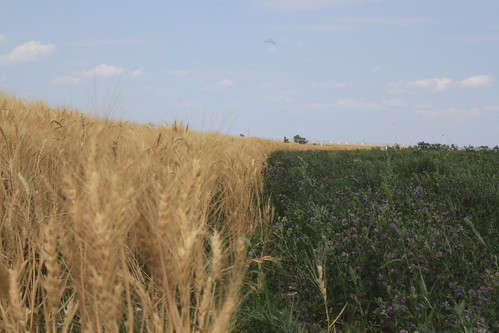 SO-Whitney, Neb.