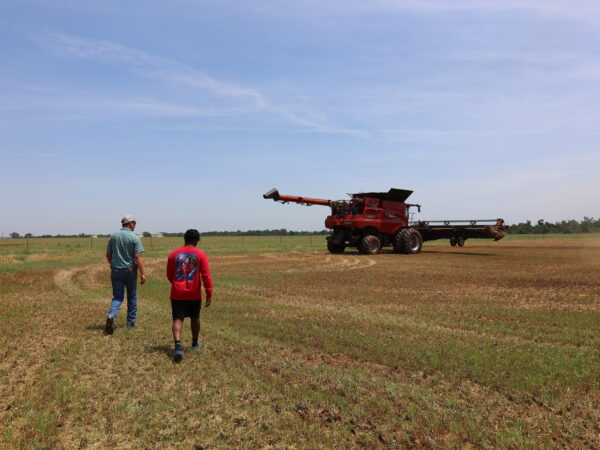 Dalton headed to the combine with Cole. 