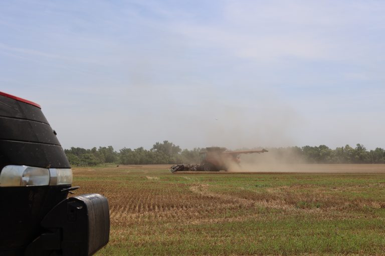 All Aboard Harvest
