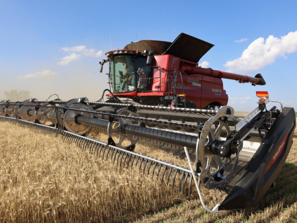 I hope you can see Zoey waving from the cab!