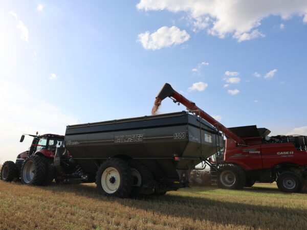 Elmer's grain cart in the field by Pratt, Kansas. 