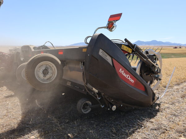 The operators really have to get close to the ground to catch every pod on chick peas. 