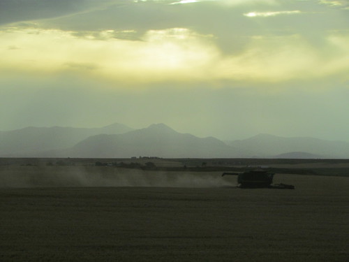 Z Crew - distant hills