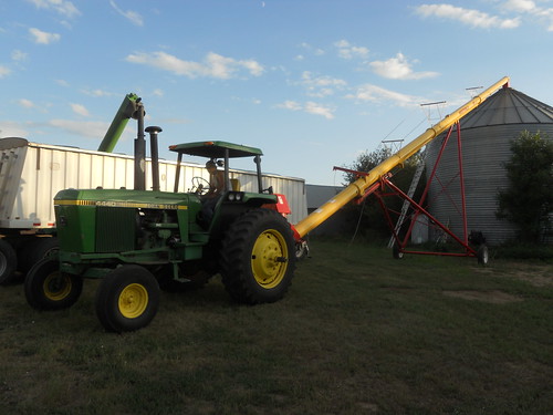 Unloading in the bin