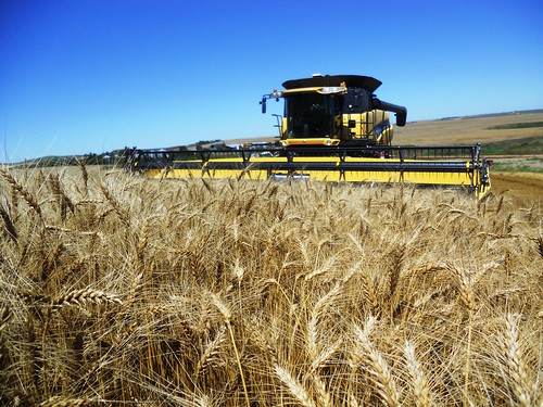 Ready to get into the field