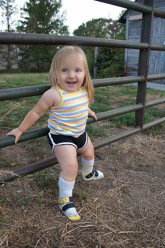 Evie