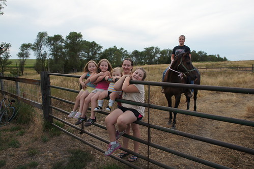 On the Farm