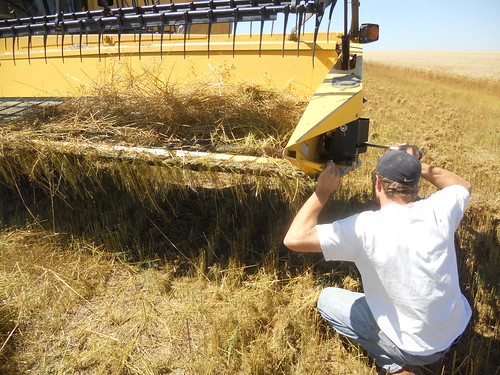 James works on header