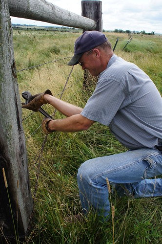 Dave tightens the fence