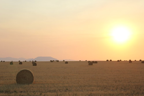 Z Crew - Square Butte