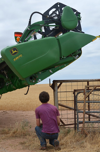 Trying to walk in the combines requires spotters