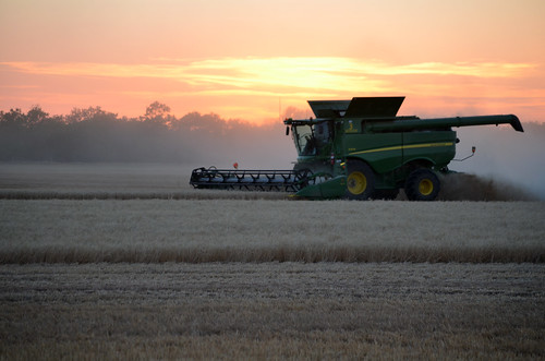 Look Mamma the sky is Pink!