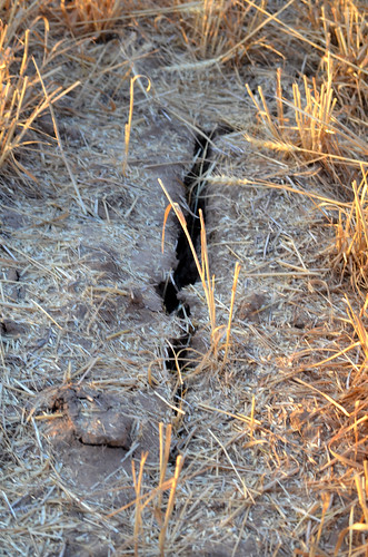 Did I mention it was dry in Olney TX