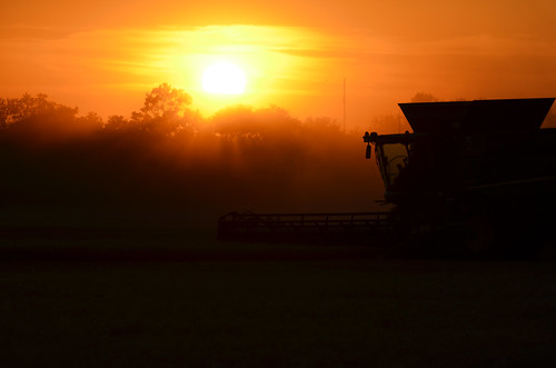 I love sunset harvest photos