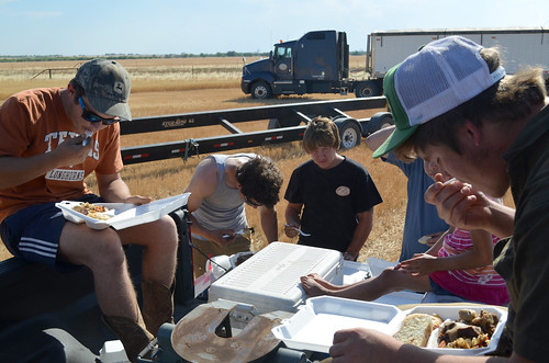 A family meal in the field