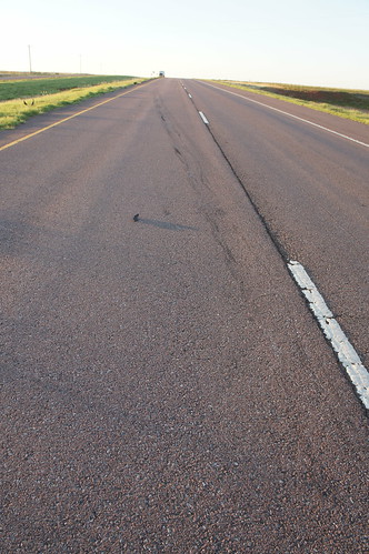 Emma: rubber on the road