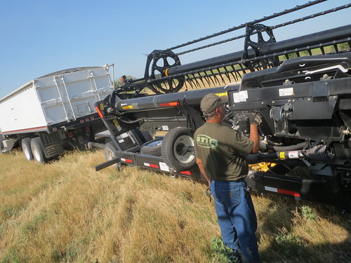 Z Crew: Checkin' the Header