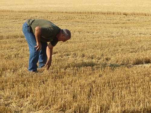z Crew: Checkin' the Ground for Berries