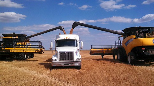Unloading onto the truck
