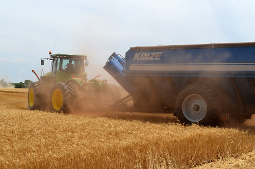 Betsy is thankfully still in action