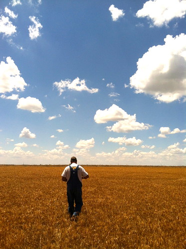 Z Crew: Higgins, TX Field