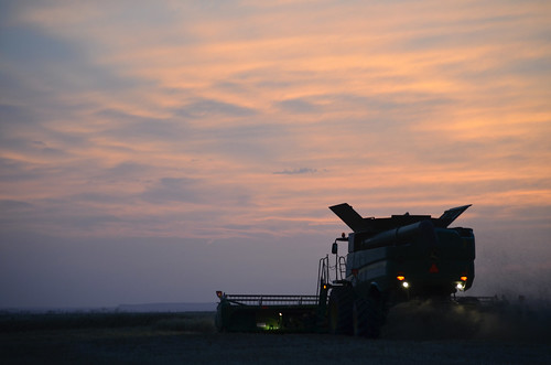 More beautiful sunset skys