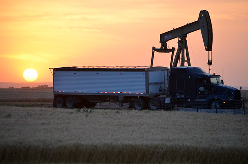 A beautiful harvest moon