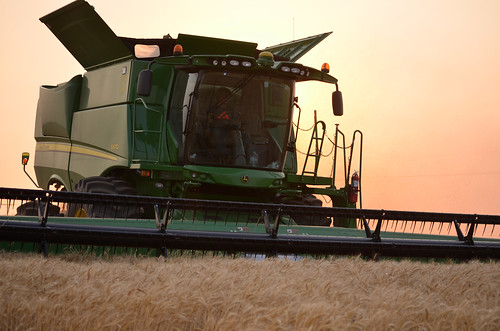 Kyle cuts with the sun setting behind him