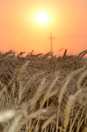 God bless this harvest