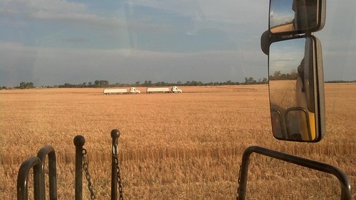 Semis lined up from across the field
