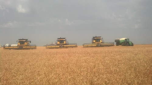 Equipment all lined up