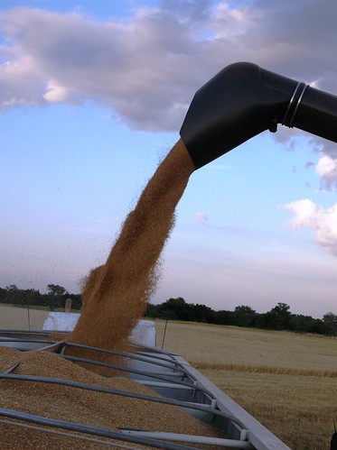 Unloading on the semi