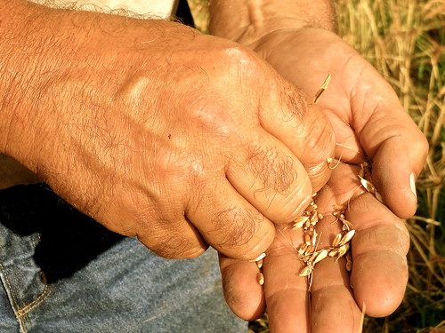 Z Crew: I Think It's All Time We Thank A Farmer
