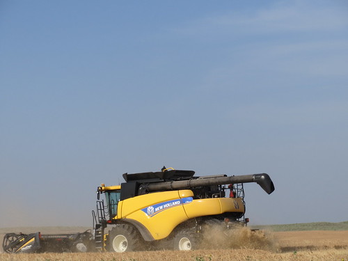 Z Crew: Opening the last field