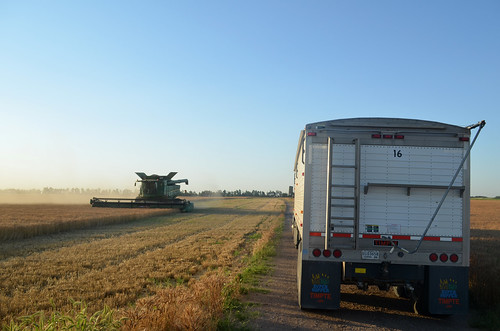 A dryer but still convenient option to park