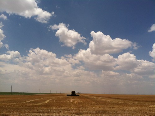 Z Crew: the Perfect Harvest Day