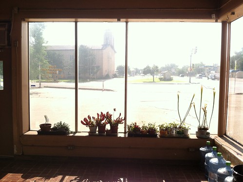 Z Crew: the Muffler Stop