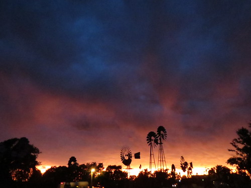 Z Crew: A Farewell Sunset