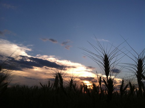 Z Crew: A Welcoming Sunset