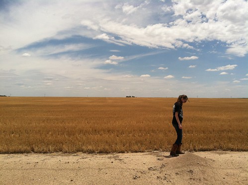 Z Crew: Stompin' Ant Hills