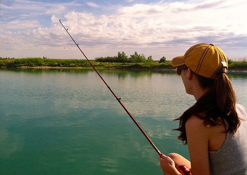 Z Crew: Wake Up, Fish