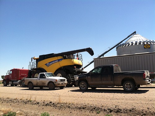 Z Crew: First Trip - Arrival in GC