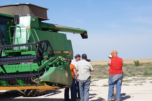 Emma: The Great American Wheat Harvest