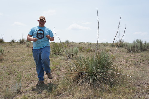 Emma: pasture excursions