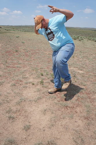 Emma: pasture excursions