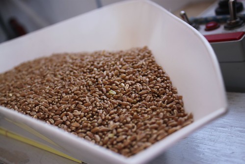 SO-St. Francis, Kan.