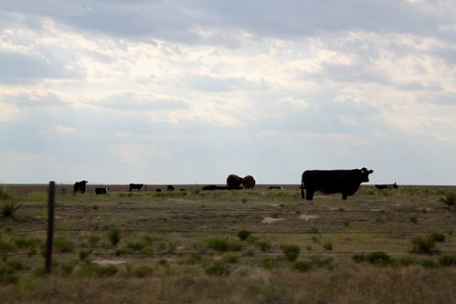 SO-St. Francis, Kan.